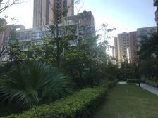 西江月笋盘公寓业主诚心出售 看房方便