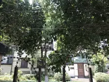 万科品质住房 大平层,三房两卫 环境好