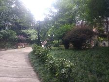 阳光华苑 4室2厅 南