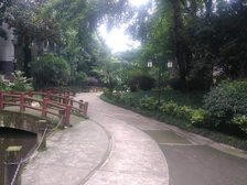 阳光华苑 4室1厅 南