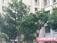 金辉融侨城 满五年唯一 税费低 户型正气