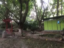 黄泥磅 皇冠东和五房175万