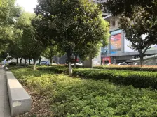 复式2房 带天然气,干净整洁,诚心出售。