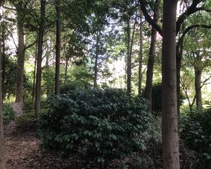 珠江花城一期3室2厅南北