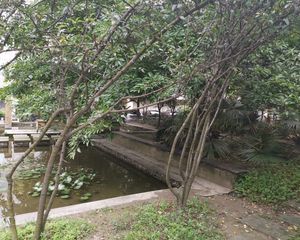 兴元丽都3室1厅南