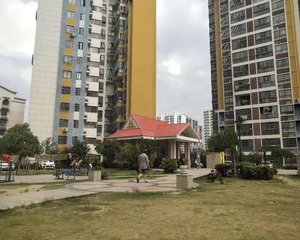 此小区,交通便利,环境好,配套齐全,