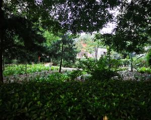 汇鸿家园3室2厅东南西北