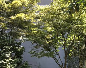 珠江花城一期3室2厅南北