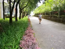 爱琴海旁边191平的大户型 2梯4户总高18层小区停车50元