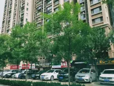 带院!地上二地下一精装复式 拎包入住