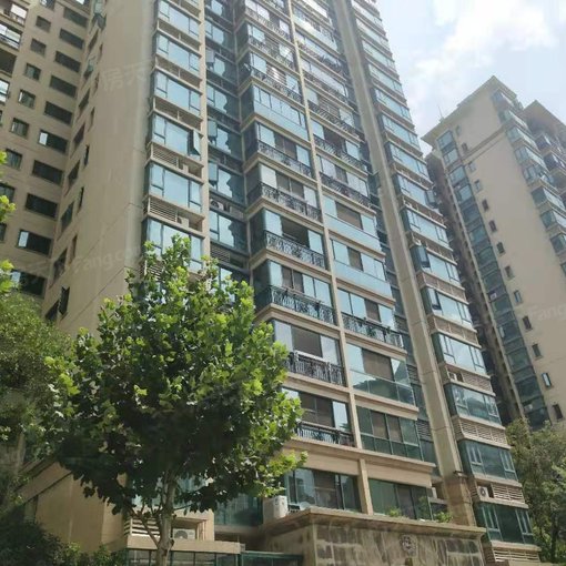 ºã´ó³Ç2ÊÒ1Ìü1ÎÀÄϳ¯Ïò1500.00Ôª/Ô³ö×â