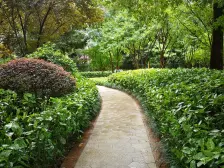 人和 东原黄山大道东四房185万