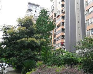 成都早晨3室2厅南