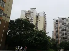 人和轻轨站50米 四室双卫145平米, 单价9500