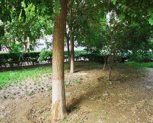 金隅丽景园2室1厅南北