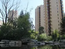 世纪城一区 带电梯中间户型 采光视野好 老本可贷款