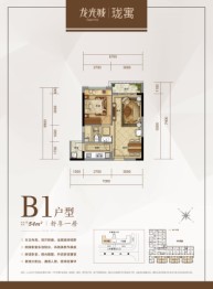 龙光城1室1厅1厨1卫建面54.00㎡