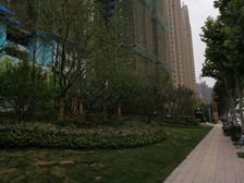 次新小区双公园。人车分离。楼层好,