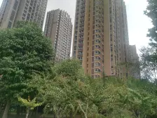 南三环嵩山路 毛坯三居室 南北通透 7号线 运河公园