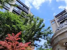 内环内小高层花园洋房,后排不靠马路3房