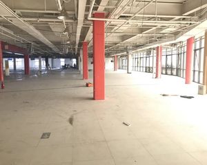 和平街·彩楼·3室·2厅