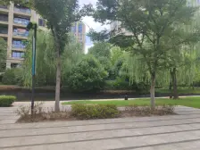 好楼层,好位置,视野开阔,满眼春色