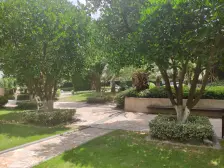 D+委托、就这一套业主想做小区同户型首套卖掉的