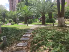 近大虹桥国展,品质商品房,花园位置,电梯高层,诚意