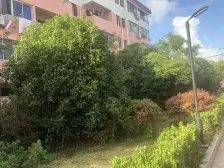 唐镇·前哨小区·2室·2厅