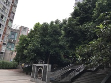 两路空港 唐庄二房82万