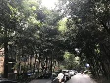 两路空港 红树林三房96万