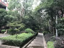 红树林电梯三室 带露台 出门公园 视野好