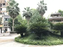 红树林 7室3厅 东南