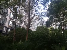 花园小区,长风公园在侧,天然氧吧南北通全明户型