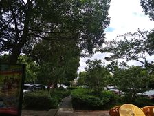 近商圈,客厅带阳台,小区中心位置,主卧朝南