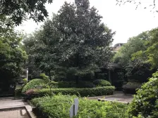 两路空港 红树林二房62万