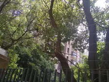 08年地铁口品质小区 高区版式南北通户口 书包房