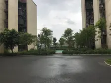 总价低,电梯房,轻轨旁,可按揭