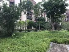 小区环境优美,有池篮球场,羽毛球场