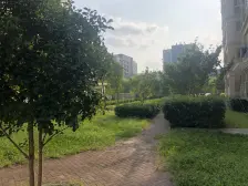 房子一手动迁,税费低,通风好,采光好,视野开阔