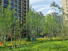 大名城D区,毛坯,温馨小两室,户型方正