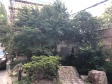 国中公寓 3室1厅 东北
