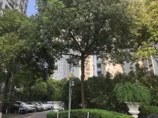 内环内,南北2房,景观楼层,保养很好,带地暖,可拎包入住