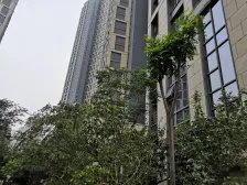 悦府高层边户三房 全屋定制智能家居 享受品质生活