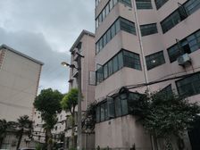 商品房+内环旁+双南大两房+6/9/14+花园位置+视野开阔
