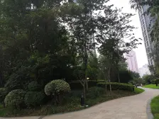 大石桥 朝南一室 户型方正 诚心出售 人车分流诚心卖