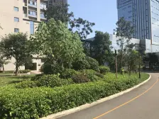 观月轻轨站品质小区精装两房出售装修花 了十几万