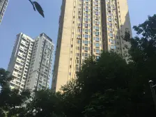 10号线兰花路轻轨站 如恩岁月 次新小区 正规两房