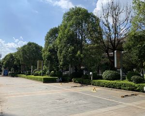 二环边公寓!通天然气!独立厨房带阳台!