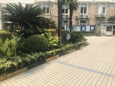 近地铁 电梯房 采光好,无抵押,新上房源